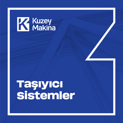 Taşıyıcı Sistemler